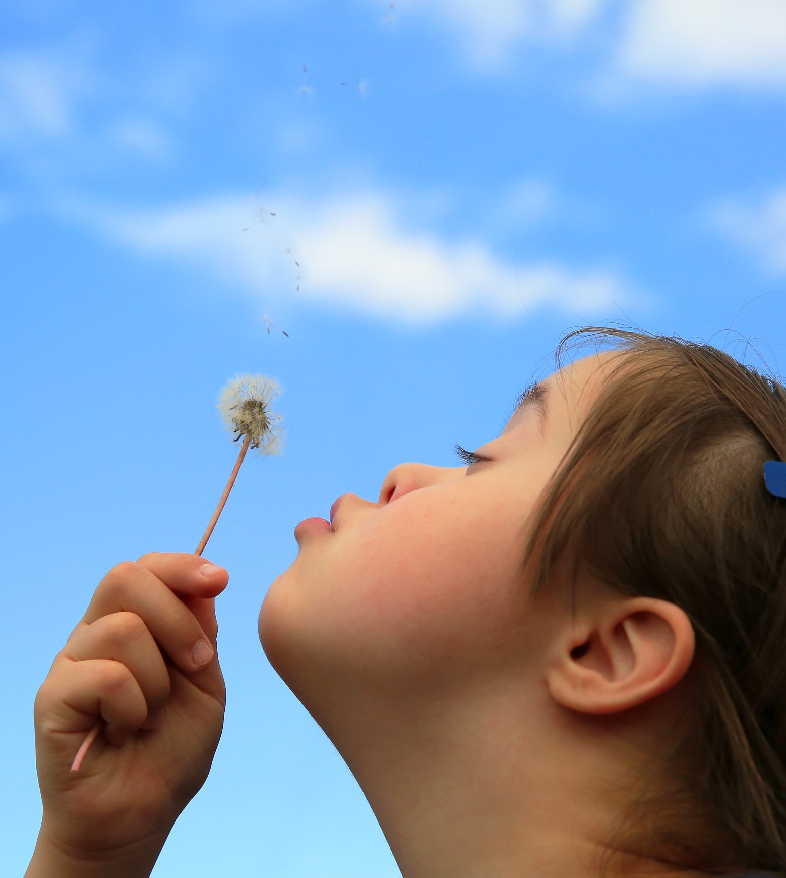 special education assistance in NJ